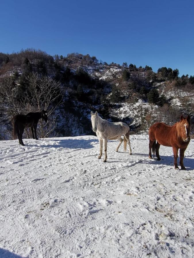 La Locanda Del Poeta Acri Luaran gambar